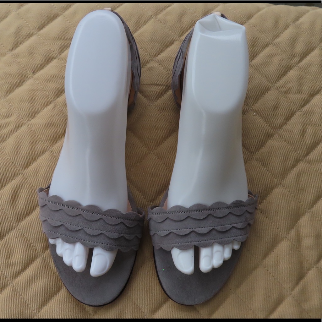 Sjp Shoes (New)